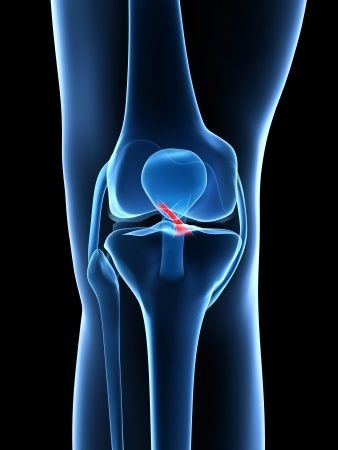 Football player holding injured knee after suffering an ACL tear during sports activity.